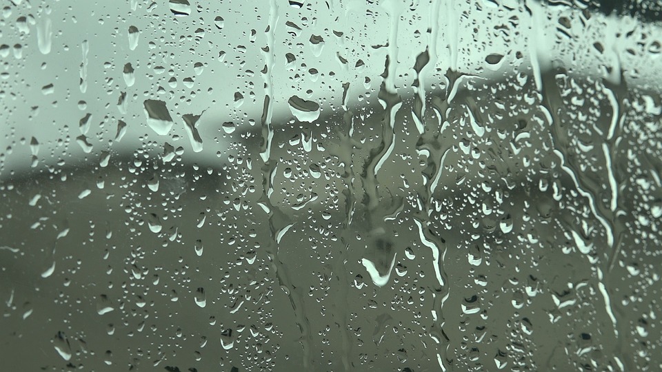Rainy Day Thoughts: Flood & Water Remediation
