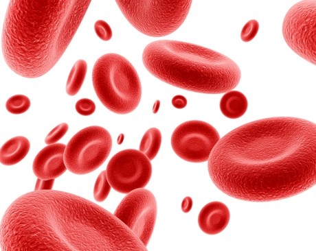 Bloodborne Pathogen Risks