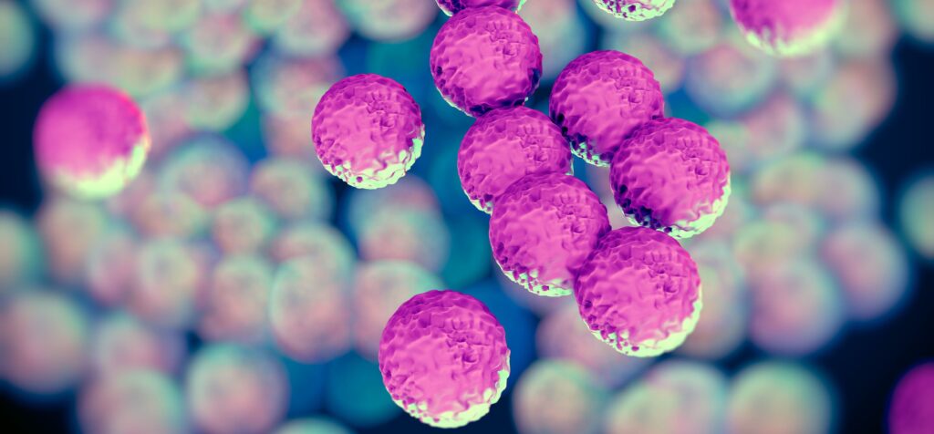 MRSA bacteria closeup