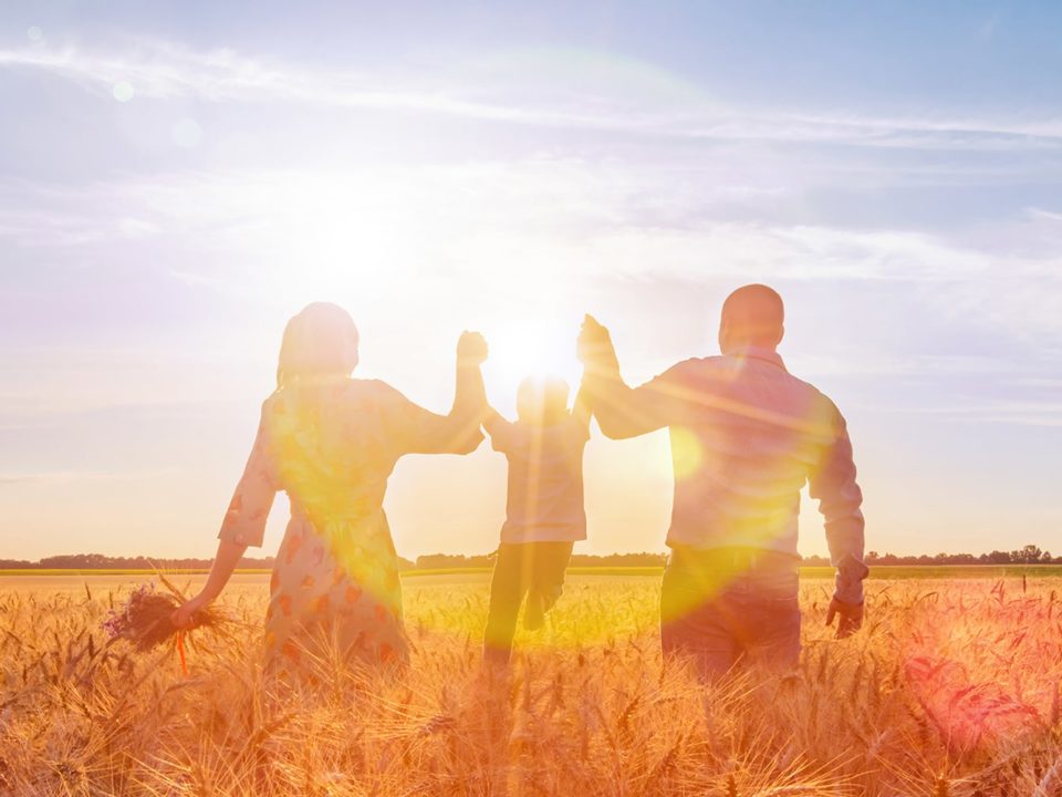 Family in a sunny field