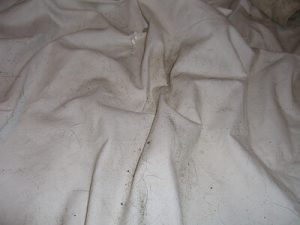 Dirty Sheets