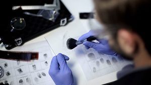 Private detective using powder and brush to take fingerprint from piece of glass