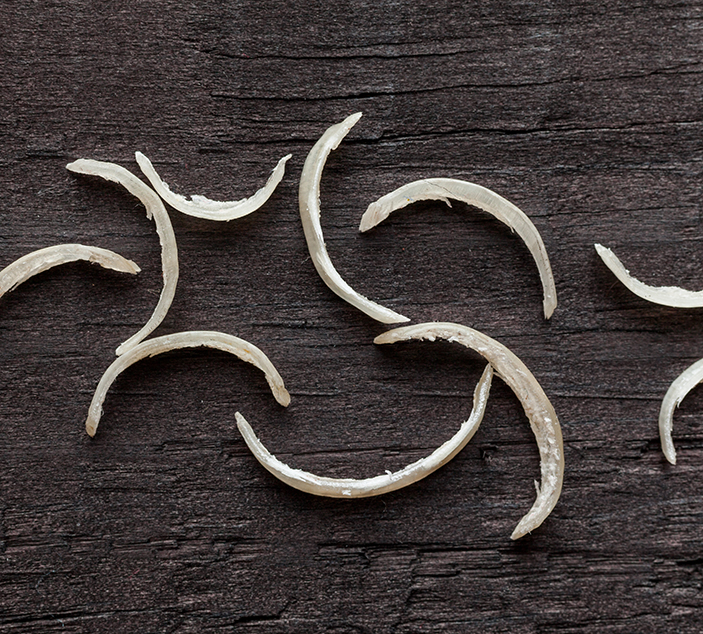 Nail clippings against a textured black wooden background