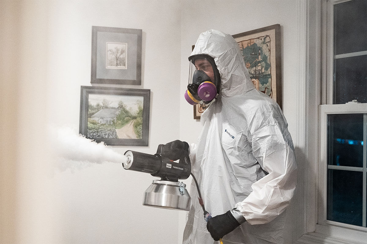 Decomposition & Odor Removal Services