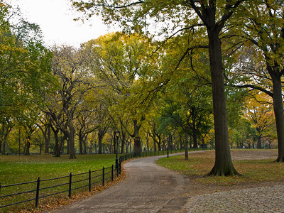 The Central Park Jogger (1989)