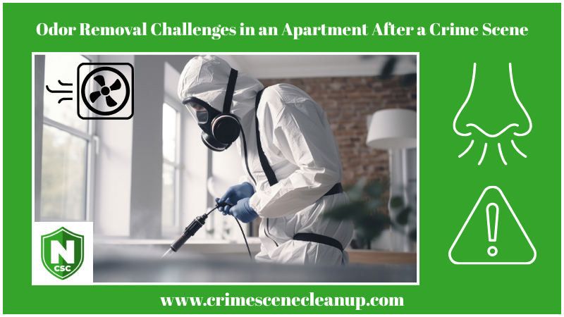 apartment after a crime scene